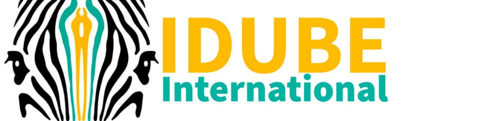idube-international-logo